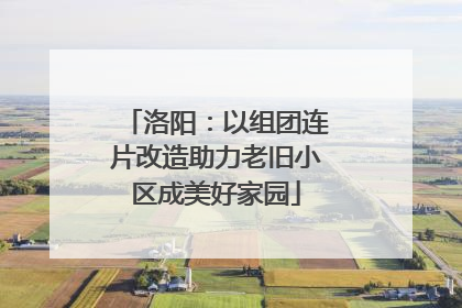 洛阳：以组团连片改造助力老旧小区成美好家园