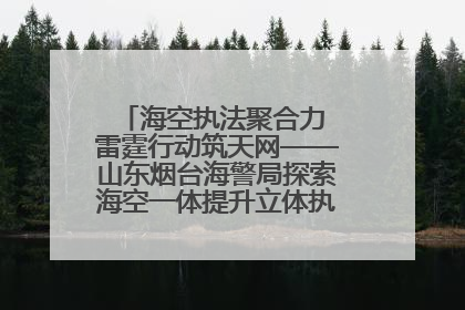 海空执法聚合力 雷霆行动筑天网——山东烟台海警局探索海空一体提升立体执法效能纪实