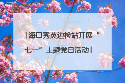 海口秀英边检站开展“七一”主题党日活动