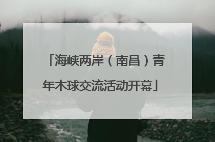 海峡两岸（南昌）青年木球交流活动开幕