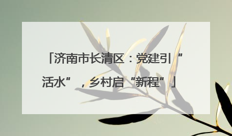 济南市长清区：党建引“活水”，乡村启“新程”