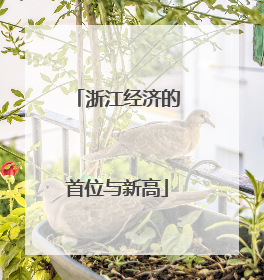 浙江经济的首位与新高