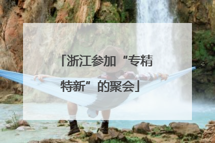 浙江参加“专精特新”的聚会
