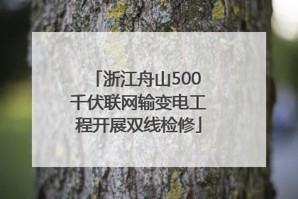 浙江舟山500千伏联网输变电工程开展双线检修