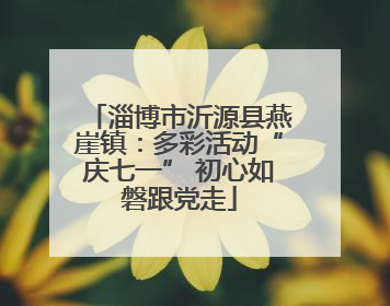 淄博市沂源县燕崖镇：多彩活动“庆七一” 初心如磐跟党走