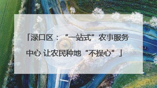 渌口区：“一站式”农事服务中心 让农民种地“不操心”