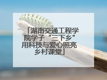 湖南交通工程学院学子“三下乡”用科技与爱心照亮乡村课堂