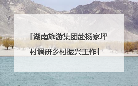 湖南旅游集团赴杨家坪村调研乡村振兴工作