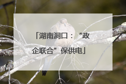 湖南洞口：“政企联合”保供电