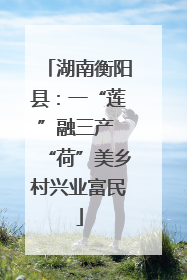 湖南衡阳县：一“莲”融三产 “荷”美乡村兴业富民