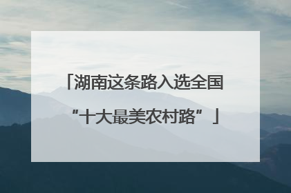 湖南这条路入选全国“十大最美农村路”