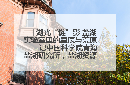 湖光“链”影 盐湖实验室里的星辰与荒原——记中国科学院青海盐湖研究所，盐湖资源化学实验室党总支书记、副主任刘忠