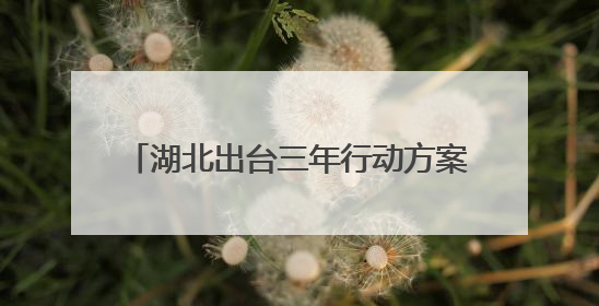 湖北出台三年行动方案，到2027年，年寄递业务量将突破80亿件