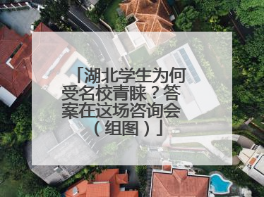 湖北学生为何受名校青睐？答案在这场咨询会（组图）