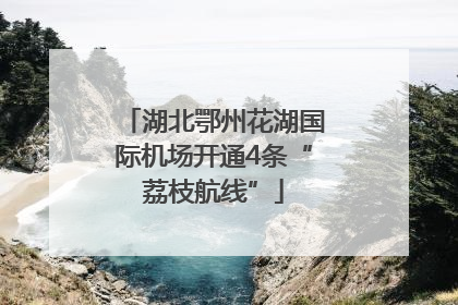 湖北鄂州花湖国际机场开通4条“荔枝航线”