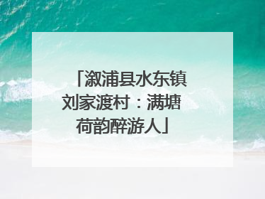 溆浦县水东镇刘家渡村：满塘荷韵醉游人