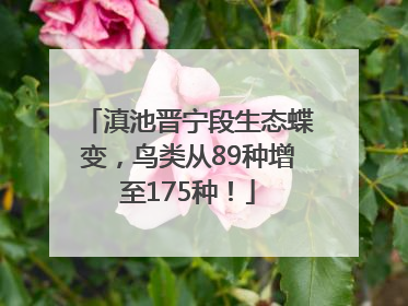 滇池晋宁段生态蝶变，鸟类从89种增至175种！