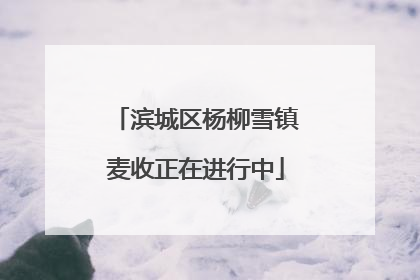 滨城区杨柳雪镇麦收正在进行中
