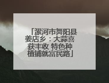漯河市舞阳县姜店乡：大蒜喜获丰收 特色种植铺就富民路