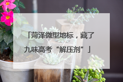 菏泽微型地标，藏了九味高考“解压剂”