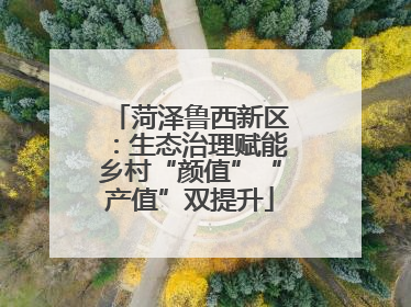 菏泽鲁西新区：生态治理赋能乡村“颜值”“产值”双提升