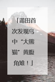 莆田首次发现鸟中“大熊猫”黄腹角雉！