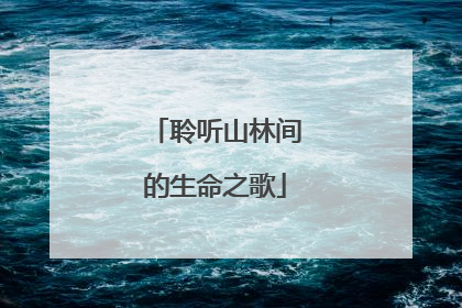 聆听山林间的生命之歌