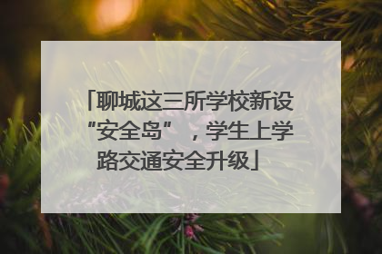 聊城这三所学校新设“安全岛”，学生上学路交通安全升级