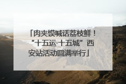 肉夹馍喊话荔枝鲜！“十五运·十五城”西安站活动圆满举行