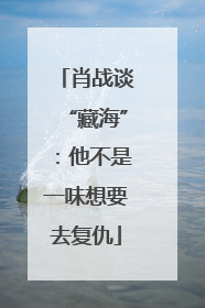 肖战谈“藏海”：他不是一味想要去复仇