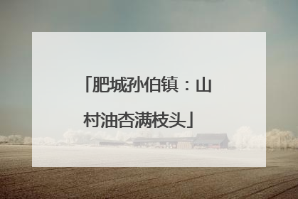 肥城孙伯镇：山村油杏满枝头