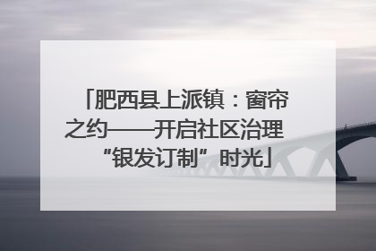 肥西县上派镇：窗帘之约——开启社区治理“银发订制”时光
