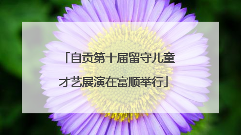 自贡第十届留守儿童才艺展演在富顺举行