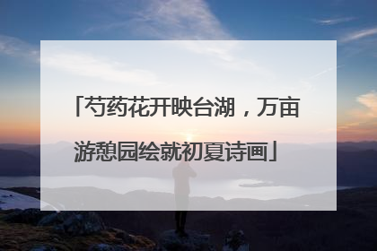 芍药花开映台湖，万亩游憩园绘就初夏诗画