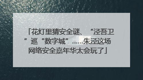 花灯里猜安全谜、“泾吾卫”巡“数字城”……朱泾这场网络安全嘉年华太会玩了