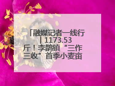 融媒记者一线行丨1173.53斤！李鹊镇“三作三收”首季小麦亩产创新高