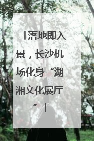 落地即入景，长沙机场化身“湖湘文化展厅”