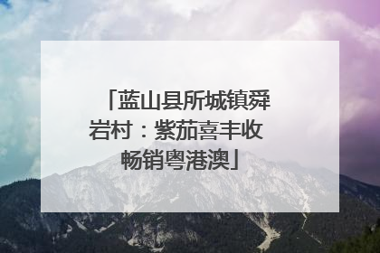 蓝山县所城镇舜岩村：紫茄喜丰收 畅销粤港澳