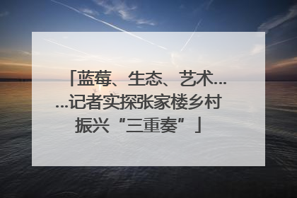 蓝莓、生态、艺术……记者实探张家楼乡村振兴“三重奏”