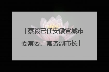 蔡毅已任安徽宣城市委常委、常务副市长