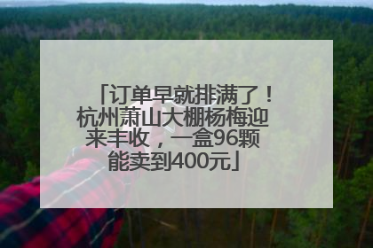 订单早就排满了！杭州萧山大棚杨梅迎来丰收，一盒96颗能卖到400元