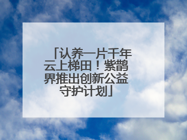 认养一片千年云上梯田！紫鹊界推出创新公益守护计划