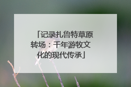 记录扎鲁特草原转场：千年游牧文化的现代传承