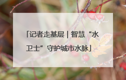 记者走基层｜智慧“水卫士”守护城市水脉