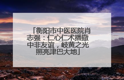 衡阳市中医医院肖志强：仁心仁术播撒中非友谊，岐黄之光照亮津巴大地