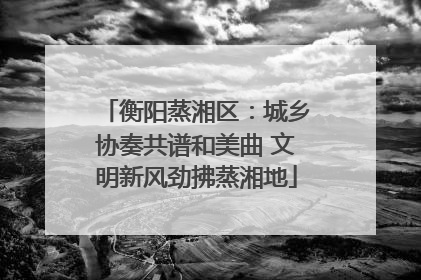 衡阳蒸湘区：城乡协奏共谱和美曲 文明新风劲拂蒸湘地