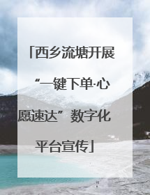 西乡流塘开展“一键下单·心愿速达”数字化平台宣传