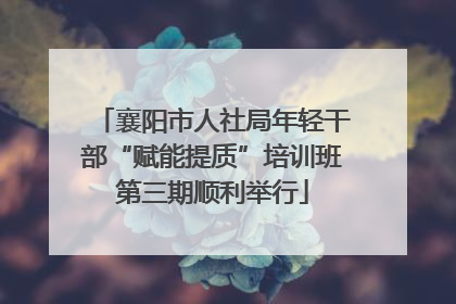 襄阳市人社局年轻干部“赋能提质”培训班第三期顺利举行