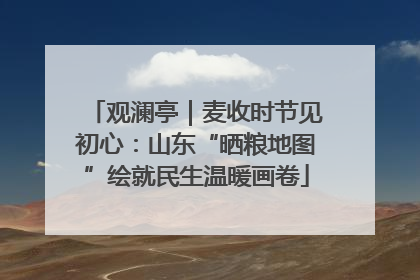 观澜亭｜麦收时节见初心：山东“晒粮地图”绘就民生温暖画卷