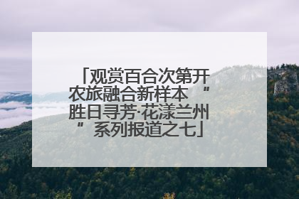 观赏百合次第开 农旅融合新样本 “胜日寻芳·花漾兰州”系列报道之七